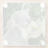 コアラ食べの歯茎 ガラスコースター (裏面)