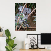 コアラ14 ポスター (ホームオフィス)