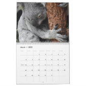 コアラ カレンダー (3月 2022)