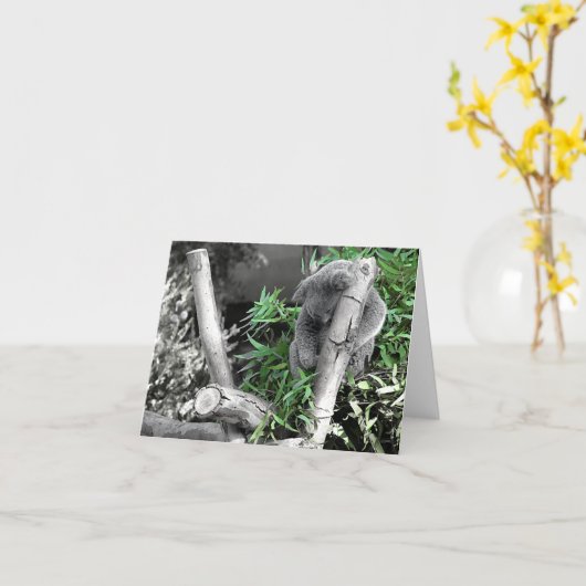 コアラ カード (黄色い花)