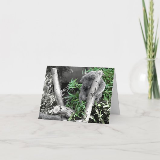 コアラ カード (正面)