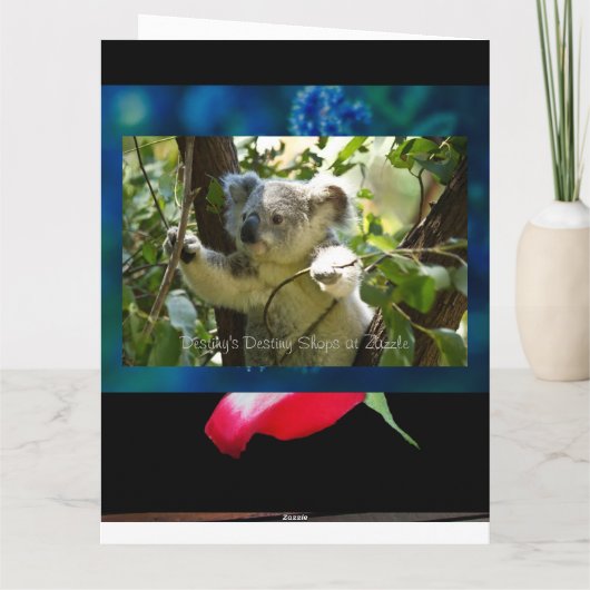 コアラ カード (裏面)