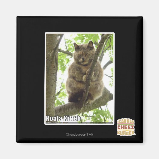 コアラ・キッテ マグネット (正面)