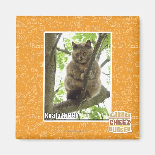 コアラ・キッテ マグネット (正面)