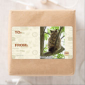 コアラ・キッテ ラベル (インサイチュ)