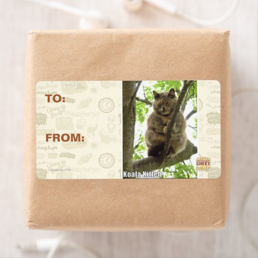 コアラ・キッテ ラベル (インサイチュ)