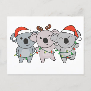 コアラ・クリスマス動物かわいいコアラ シーズンポストカード