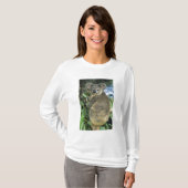 コアラ、コアラ (Phascolarctos cinereus)、絶滅危惧種、 Tシャツ (正面フル)