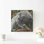 コアラ スクエア壁時計 (ホーム)