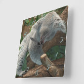 コアラ スクエア壁時計 (傾斜)