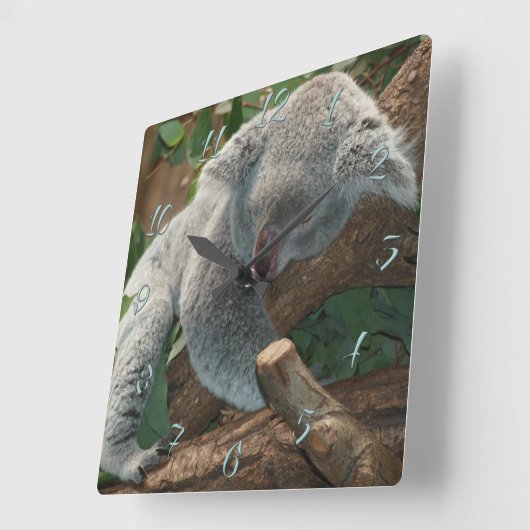 コアラ スクエア壁時計 (傾斜)