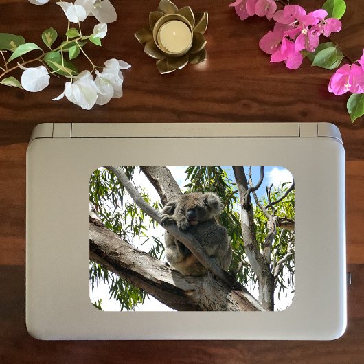 コアラ – スリーピングギフトラベル スクエアシール