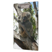 コアラ – スリープ クリップボード (左)