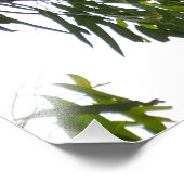 コアラ – スリープ フォトプリント            (角)