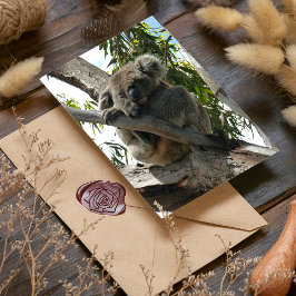 コアラ – スリープ 箔グリーティングカード
