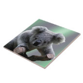 コアラ タイル (側面)