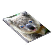 コアラ ノートブック (右側)