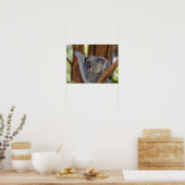 コアラ・ベア・ポスター ポスター (キッチン)