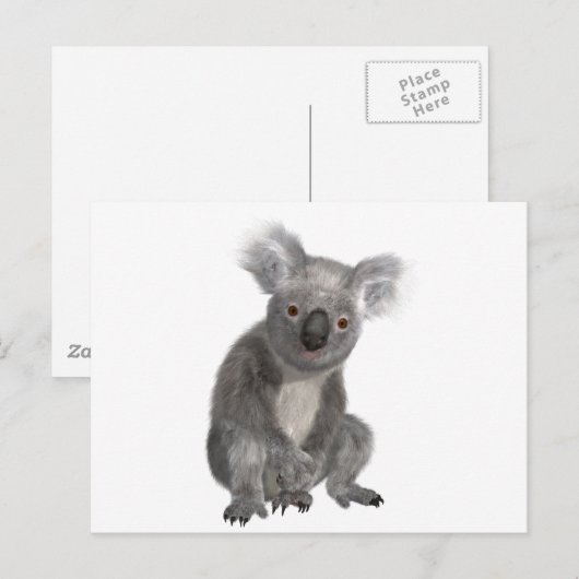コアラ ポストカード (正面/裏面)