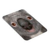 コアラ マグネット (右側)