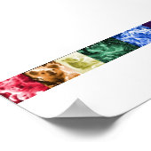 コアラ・ラブポスター ポスター (角)