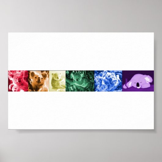 コアラ・ラブポスター ポスター (正面)