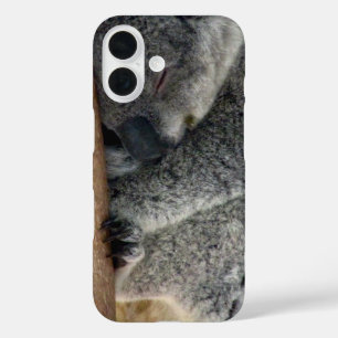 コアラ iPhone 16ケース