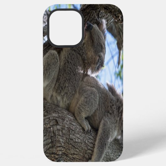 コアラ iPhoneケース (裏面)