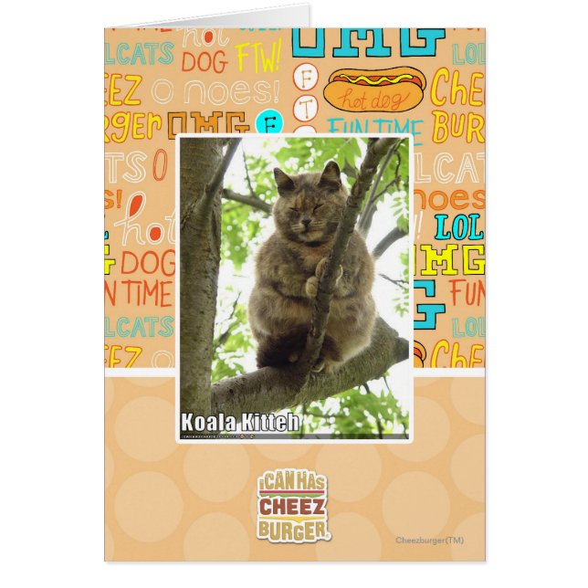 コアラKitteh (正面)