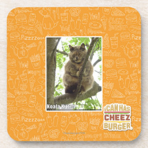コアラKitteh コースター