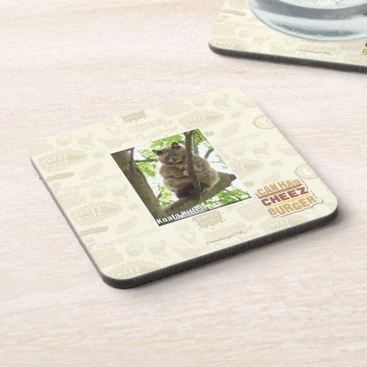 コアラKitteh コースター (左側)