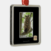 コアラKitteh メタルオーナメント (右)