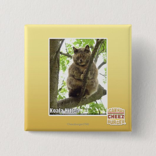コアラKitteh 缶バッジ (正面)