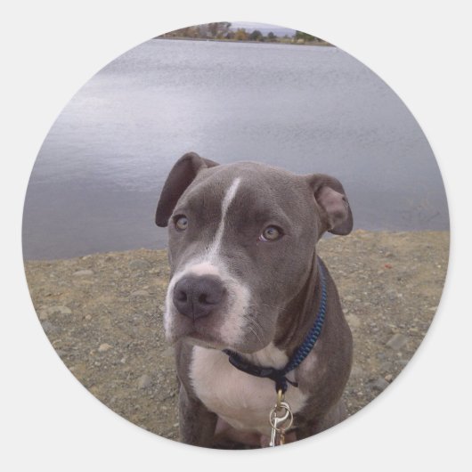 コアヴァソナパーク ラウンドシール (正面)