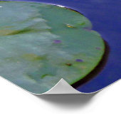 コイとスイレン ポスター (角)