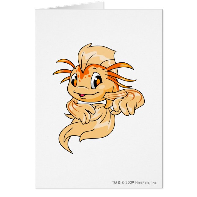 コイのオレンジ (正面)