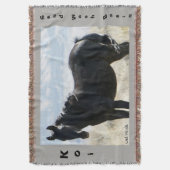 コイの投球敷物 スローブランケット (正面縦)