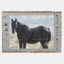 コイの投球敷物