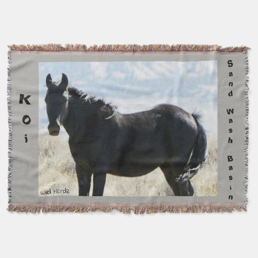 コイの投球敷物 スローブランケット (正面)