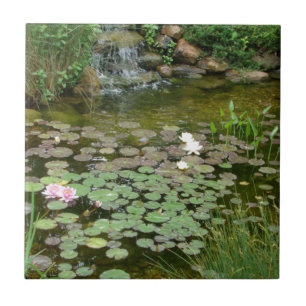 コイの池のタイル タイル