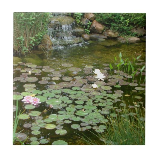 コイの池のタイル タイル (正面)