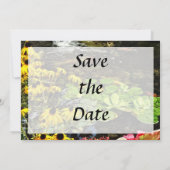 コイの池のブラックアイードスーザン Save the Date セーブザデート (裏面)