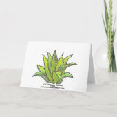 コイの池のnotecard カード (裏面)