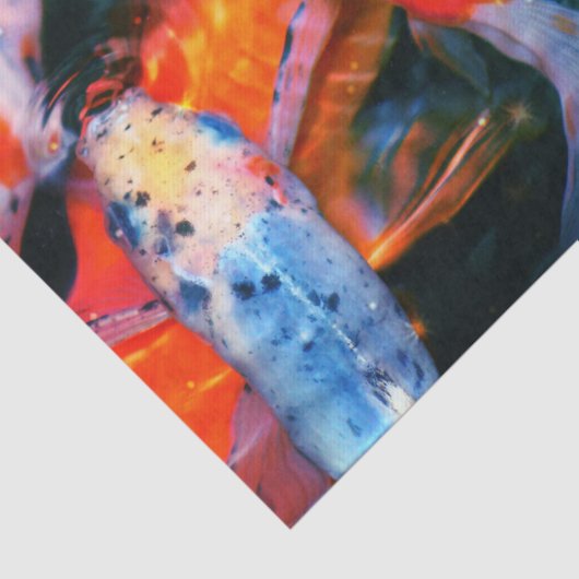 コイの魚 薄葉紙 (詳細)