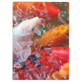 コイを集めるFalln クリップボード (裏面)