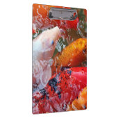 コイを集めるFalln クリップボード (右)