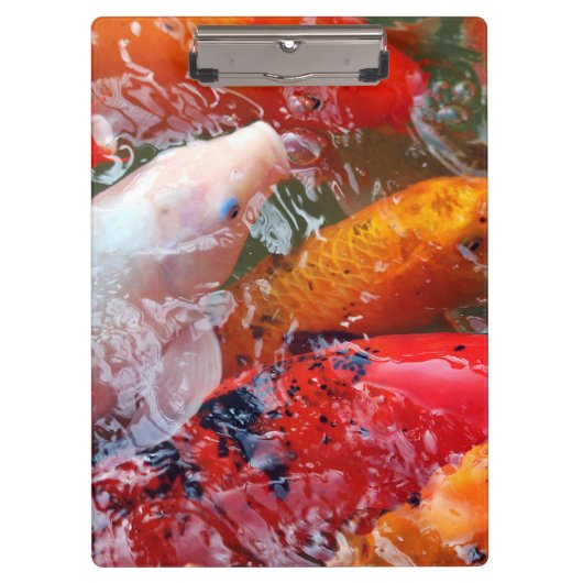 コイを集めるFalln クリップボード (正面)