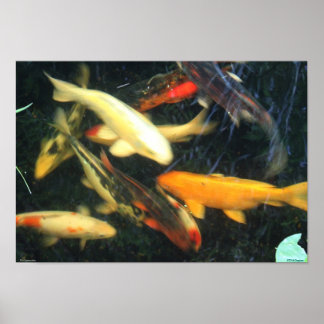 コイインプレッションポスター ポスター