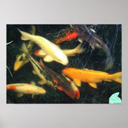 コイインプレッションポスター ポスター (正面)