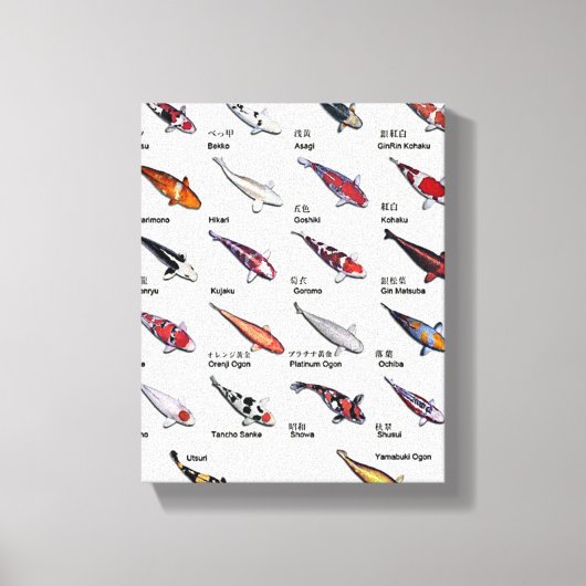 コイカラフル魚の品種錦鯉アジア美術 キャンバスプリント (正面)